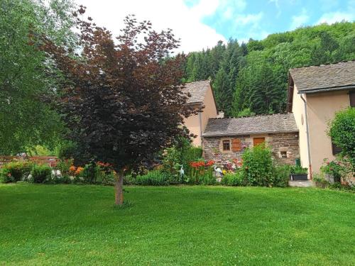 a tree in the yard of a house at "le mas d'hillaire" 2 personnes a saint jean du bleymard in Le Bleymard