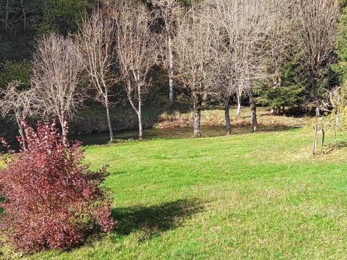 a field of green grass with trees in the background at "le mas d'hillaire" 2 personnes a saint jean du bleymard in Le Bleymard