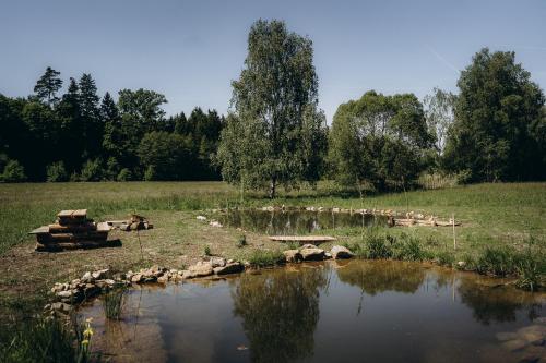 Gallery image of Glamping U Lesa in Rychnov nad Kněžnou
