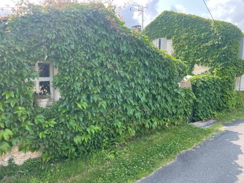 Zahrada ubytování Gîte du Presbytère Port d'Envaux, Ravissante Maison de charme
