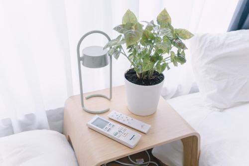 a plant sitting on a table next to a remote control at 6 minutes walk from Ichikawa Station Single-family house with 3 bedrooms and 1 living room Rich living facilities around in Ichikawa