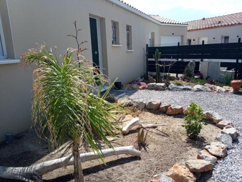 un jardin avec un palmier et des rochers devant une maison dans l'établissement Chez Jacques, à Port-la-Nouvelle
