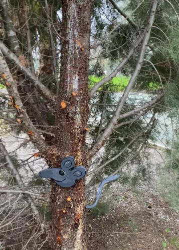 a tree with a blue butterfly on it at Lavender farm house in Nafpaktos