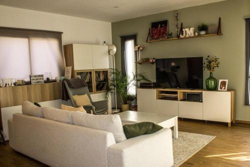 un salon avec un canapé, une table et une télévision dans l'établissement Spacious house with pool in Ondres, à Ondres