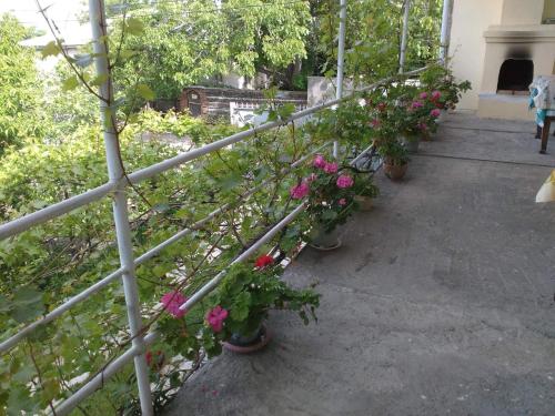 Ein Garten an der Unterkunft Holiday Home Ekaterine