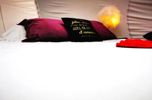a bed with two pillows on top of it at Logements insolites du Domaine de la Tuilière in Carnoules