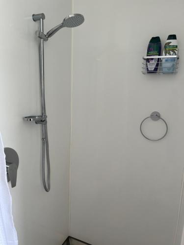 a shower in a white bathroom with a shower head at Palmy Hideaway - Dog Friendly in Palmerston North