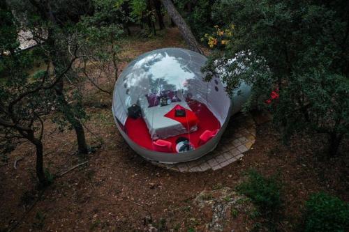 an overhead view of a glass dome in a forest at Logements insolites du Domaine de la Tuilière in Carnoules