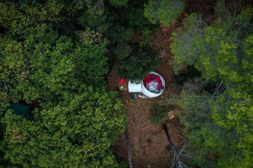 an overhead view of a house in the middle of a forest at Logements insolites du Domaine de la Tuilière in Carnoules