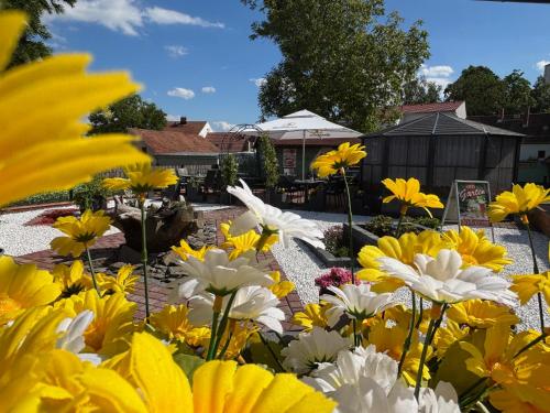 a garden filled with yellow and white flowers at Ambiente Hotel Strehla in Strehla
