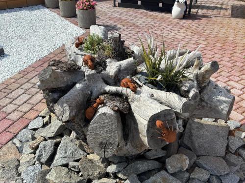 a tree stump garden with plants in it at Ambiente Hotel Strehla in Strehla