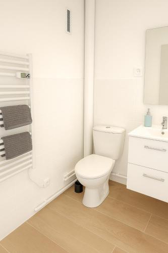une salle de bain blanche avec des toilettes et un lavabo dans l'établissement Appartement de charme Digoin #8, à Digoin