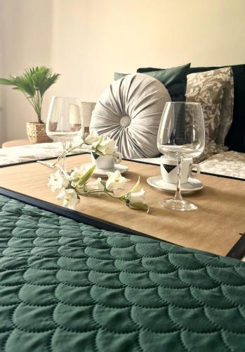 Elite Home 1 Jeżyce- Barańczaka 1