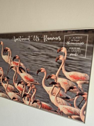 Ảnh trong thư viện ảnh của Apartament Els Flamencs ở Els Muntells