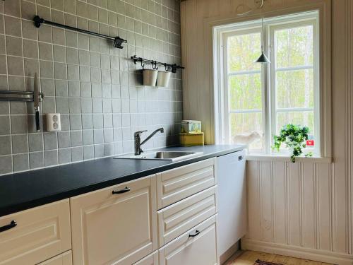 a kitchen with a sink and a window at Gårdshuset i Kråkerum! in JÃ¤mjÃ¶