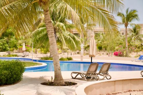 two chairs and a palm tree next to a swimming pool at Lux Villa Azure in Salalah