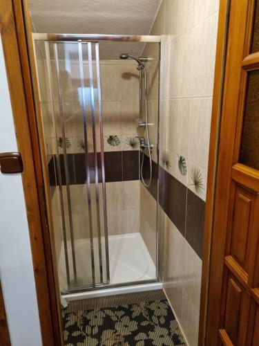 une douche avec une porte vitrée dans une salle de bain dans l'établissement Kwatery u Janka, à Zakopane