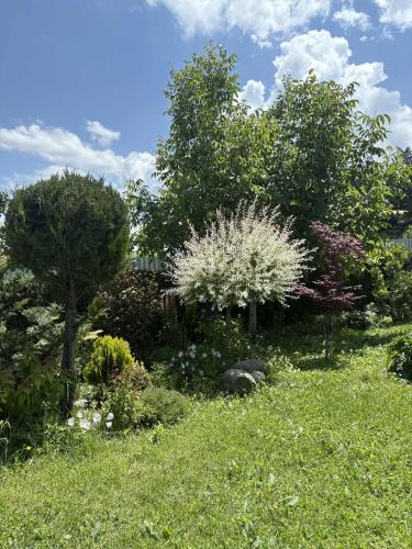a garden with trees and flowers in the grass at Hotel Classic in Tʼelavi