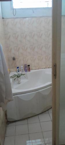 a bathroom with a sink and a bathtub with a plant on it at pradeepa villa in Colombo