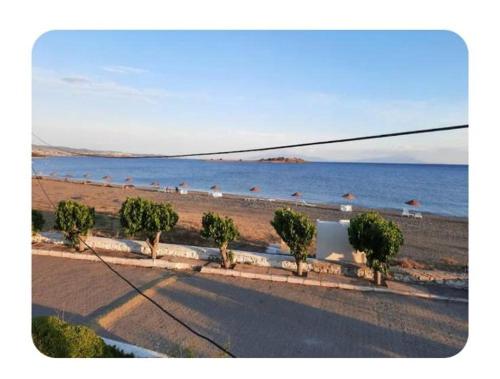 a beach with a row of trees and the ocean at Seferihisar İz Tur sitesinde özel plajlı villa in Seferihisar