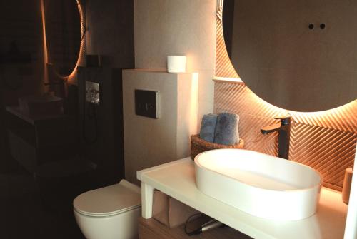 a bathroom with a sink and a toilet and a mirror at Richkas Chalet котедж з чаном-джакузі in Slavske
