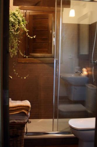 a bathroom with a shower and a toilet and a sink at El Hogar del Fresno, casa con encanto en Cañicosa in Cañícosa