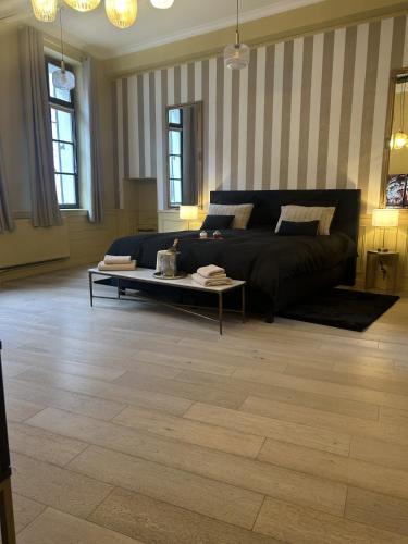 a living room with a couch and a coffee table at La suite Isabelle de Luxembourg & Spa in Béthune