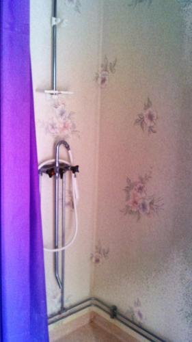 a shower in a bathroom with a purple shower curtain at Pärlebo in Mellbystrand