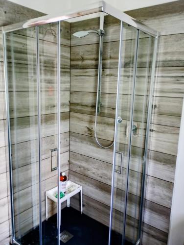 a shower in a bathroom with wooden walls at Seriola apartment in Salò