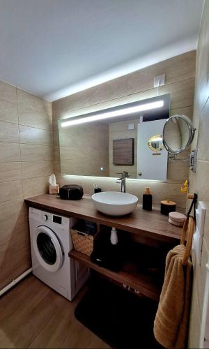 une salle de bain avec un lavabo et une machine à laver dans l'établissement Le Roof-top du Cap, au Cap d'Agde