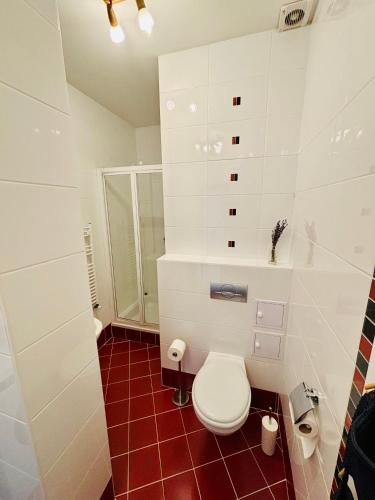 a bathroom with a white toilet and a red tile floor at Mimi2 Apartment in Zamárdi