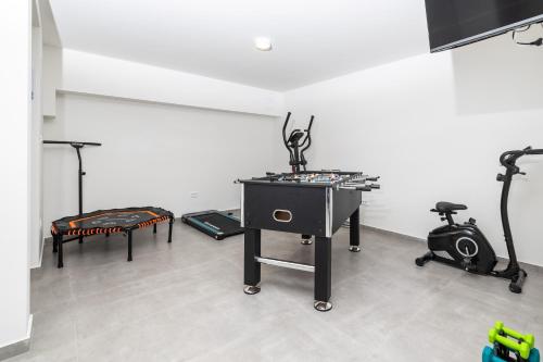 Premium Holiday home VILA VIDA with Pool