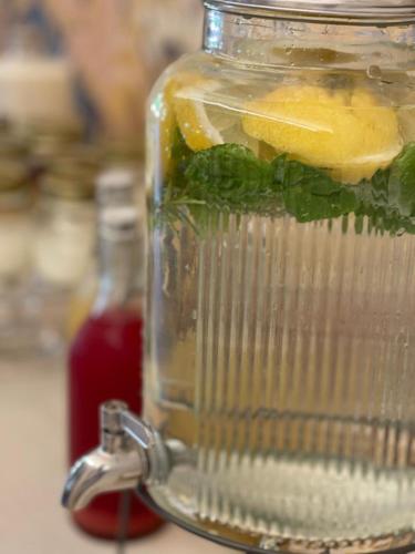 a blender filled with lemonade and a bunch of lemon slices at Le Camere Pietrasantine - Centro Storico in Pietrasanta