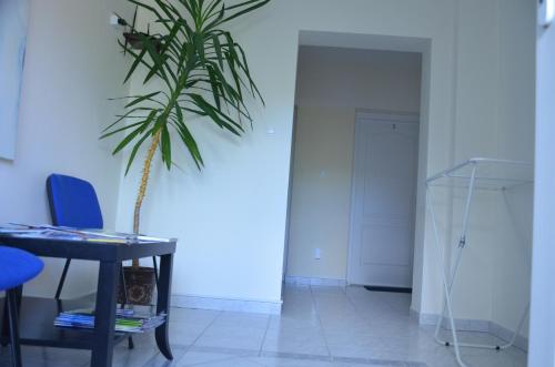 a plant sitting on a table in a room at Villa Ladver in Hévíz