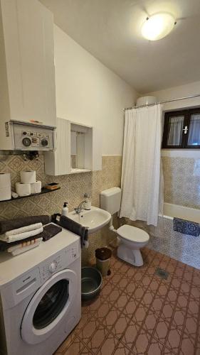 a bathroom with a washing machine and a toilet at Apartmani Drašnice 1 in Drasnice