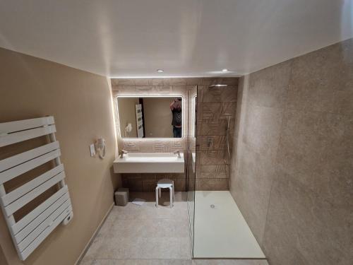a bathroom with a sink and a mirror at Un Moment Spa - le Gaïa in Sailly-sur-la-Lys