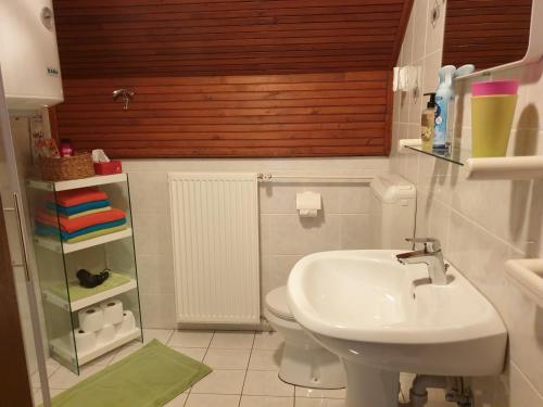 a small bathroom with a sink and a toilet at Apartma Maržič in Kranjska Gora