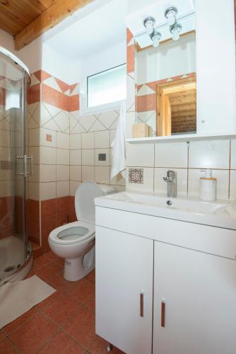 a bathroom with a toilet and a sink and a mirror at Liopetra at Messaria Corfu! in Mesariá
