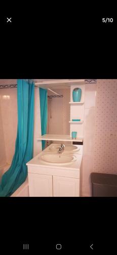 La salle de bains est pourvue d'un lavabo et d'un rideau de douche bleu. dans l'établissement Appartement vannes cosy, à Vannes