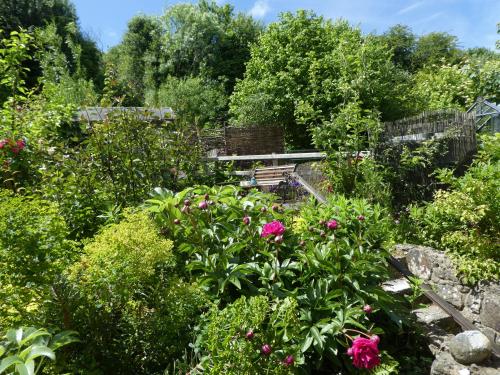 a garden with a bench in the middle of flowers at Craiglea St Dogmaels in Saint Dogmaels