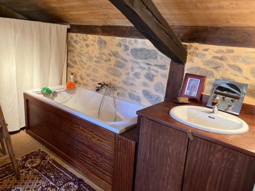 a bathroom with a bath tub and a sink at La Maison de la Treille in La Chapelle-Montbrandeix