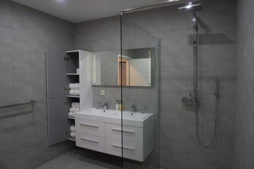a bathroom with a sink and a shower with a mirror at Villa Vuletic in Kula Atlagić