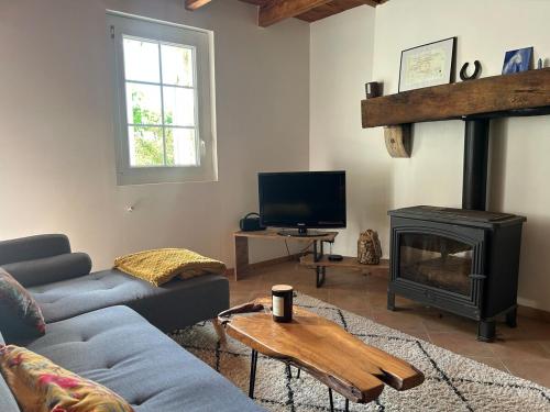a living room with a couch and a fireplace at Gite les grandes vignes in Saint-Sernin