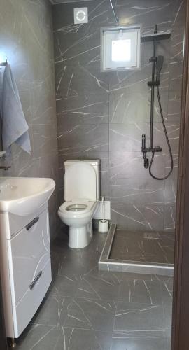 a bathroom with a toilet and a sink and a shower at Stepanavan Forest House in Stepʼanavan