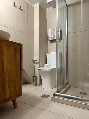 a bathroom with a toilet and a glass shower at Arch Residence, studio 3, Vroulidia in Katarráktis