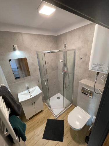 a bathroom with a shower and a toilet and a sink at Apartamenty Łuska w Dębinie in Debina