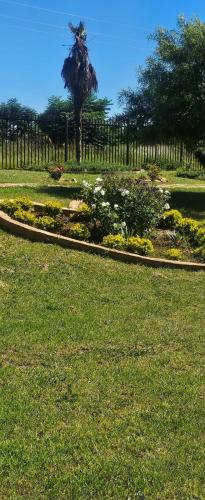 a garden with flowers and a tree in the background at Remi's B & B and SPA in Pretoria