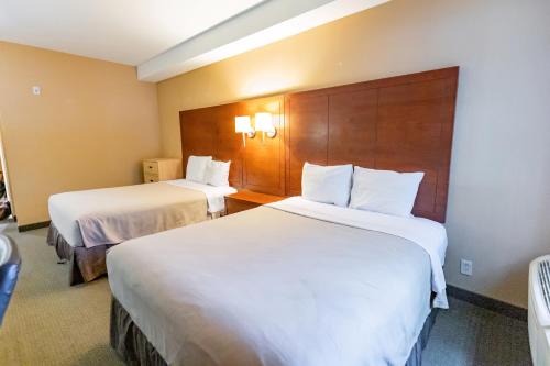 ein Hotelzimmer mit zwei Betten mit weißer Bettwäsche in der Unterkunft Gordon Hall Residence in Guelph