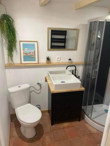 une salle de bain avec toilettes, lavabo et douche dans l'établissement maison de vacances de 16 a 22 personnes, à Gémozac