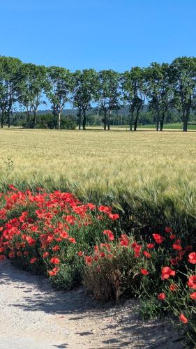 Photo de la galerie de l'établissement Le clos Saint Joseph, à Aix-en-Provence
